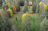Drone view of St. Mary's Cemetery Lindsay